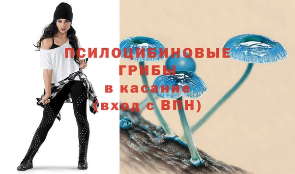 прущая мука Володарск